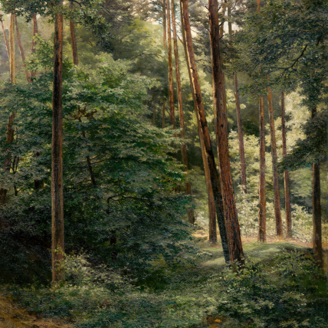 There Is Pleasure In The Pathless Woods